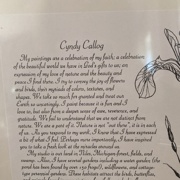 Cyndy Callog 1999 Autumn Junco Print - Picture 8 of 12